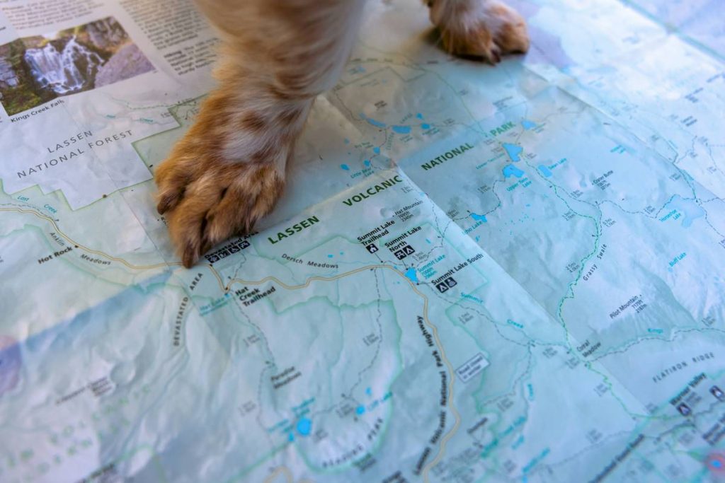 GPS Tracker Activity Zones: 7 Proven Ways to Avoid Costly Mistakes