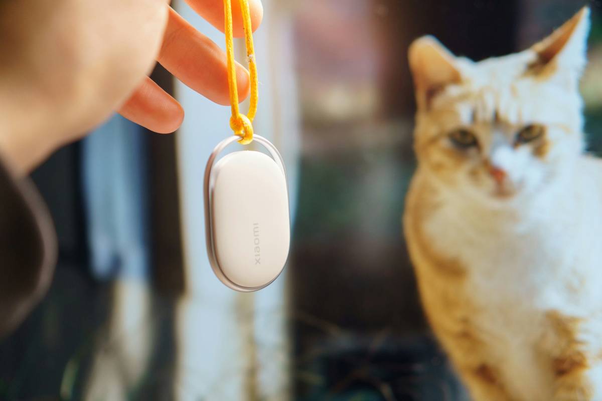 pet data storage options: What Most Pet Parents Get Wrong About Activity Monitor Data