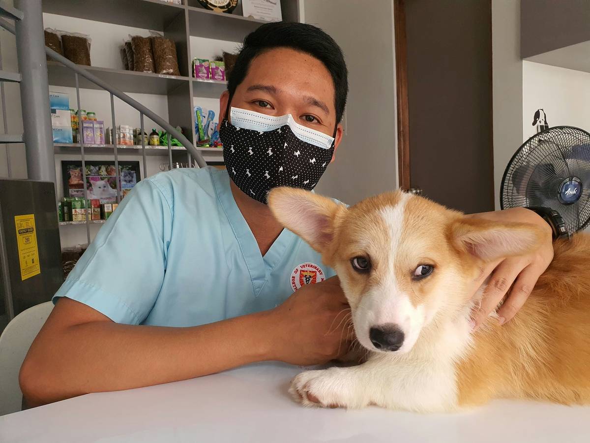 Wearable pet monitor for preventive care showing real-time heart rate and activity levels