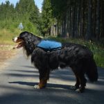GPS Tracker for Travel: 7 Proven Tips to Avoid Costly Mistakes