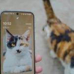 Pet Monitor Goal Setting: 7 Proven Tips to Avoid Costly Mistakes